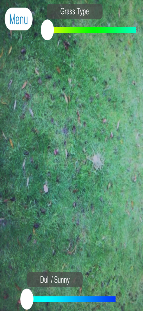 Golf Ball Finder - Golf Ball Finder app camera view with grass type and light adjustment sliders