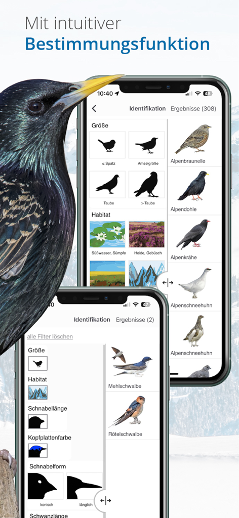 Vogelführer Birdlife Schweiz - サイズと生息地で鳥の識別フィルターを表示し、検索結果を表示するモバイルアプリインターフェイス