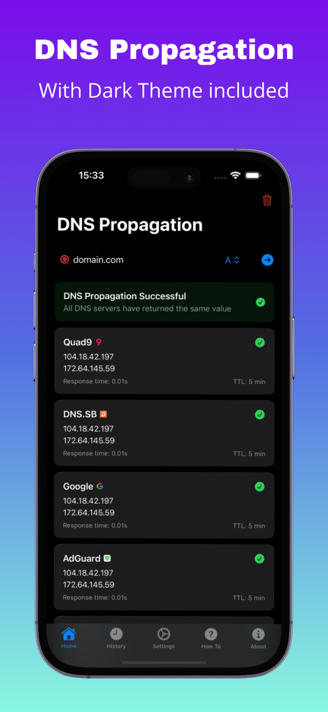 Interface de l'application mobile DNS Propagation en mode sombre affichant les résultats de vérification DNS réussis auprès de plusieurs fournisseurs
