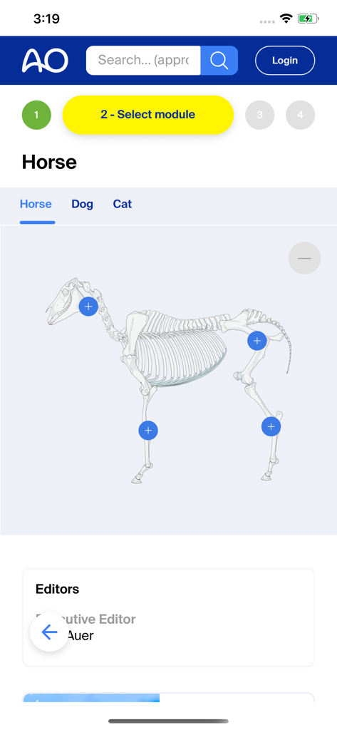 Equine anatomical diagram for surgical planning in AO Surgery Reference.