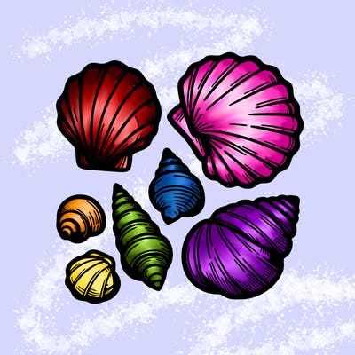 shells