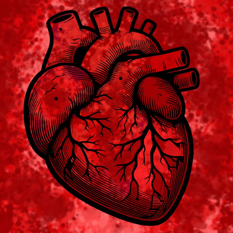 realistic heart
