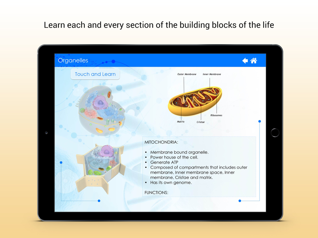 iPad screenshot of The Living Cell app showing a 3D model of mitochondria with structural details and biological facts