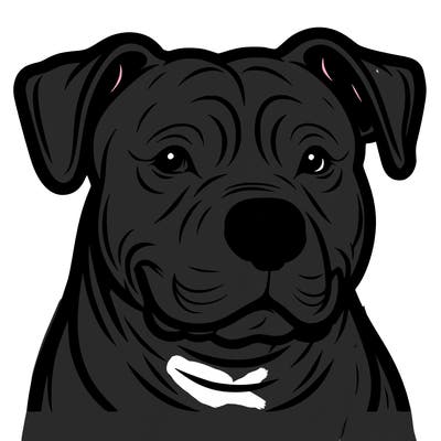 pitbull