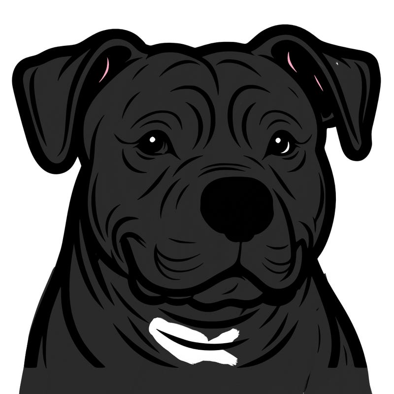 pitbull