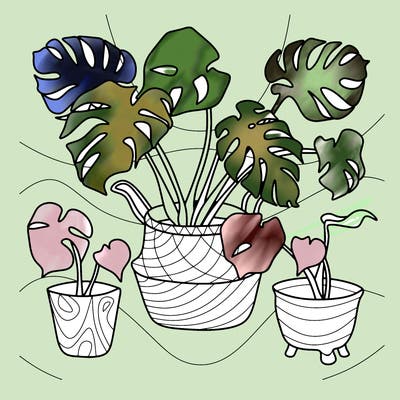 flowers_25
