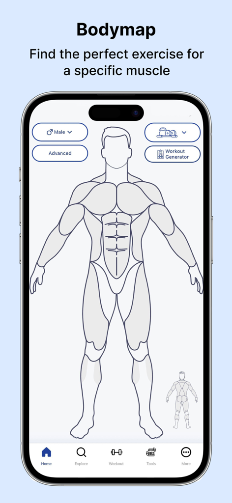 MuscleWiki app screenshot showing an interactive muscle map to find specific exercises.