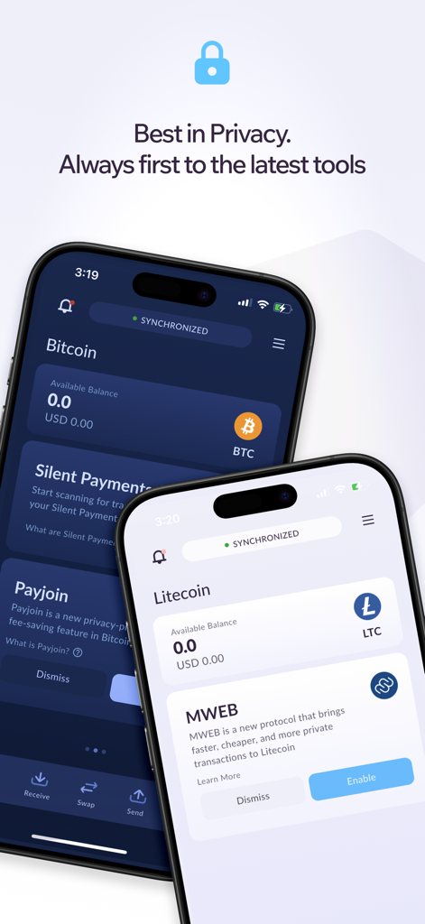 Cake Wallet mobile interface highlighting privacy tools for Bitcoin and Litecoin