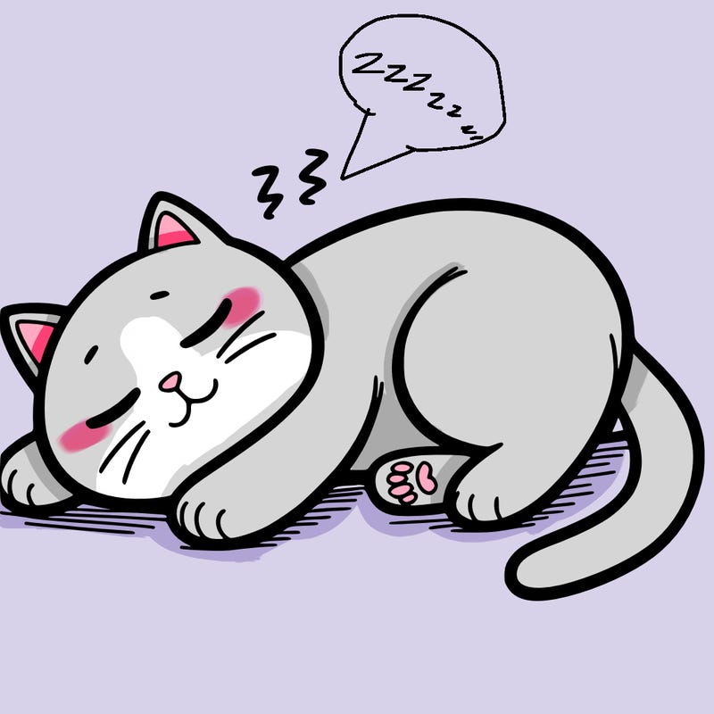 cat naps