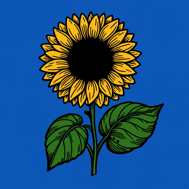 sunflower