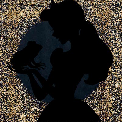 a shadow of a princess holding a frog realistic