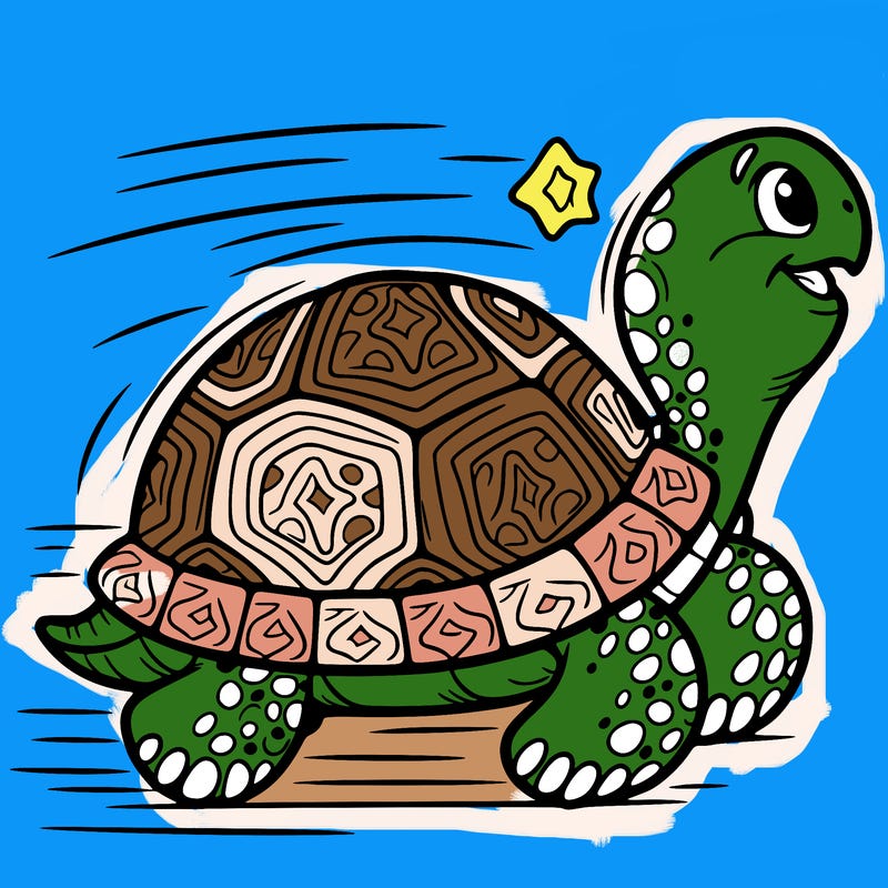 tortoise