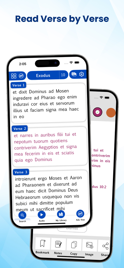Latin Vulgate Bible app interface showing Exodus chapter 10 verse by verse reading view