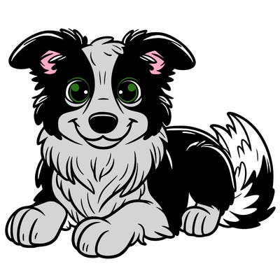 border collie