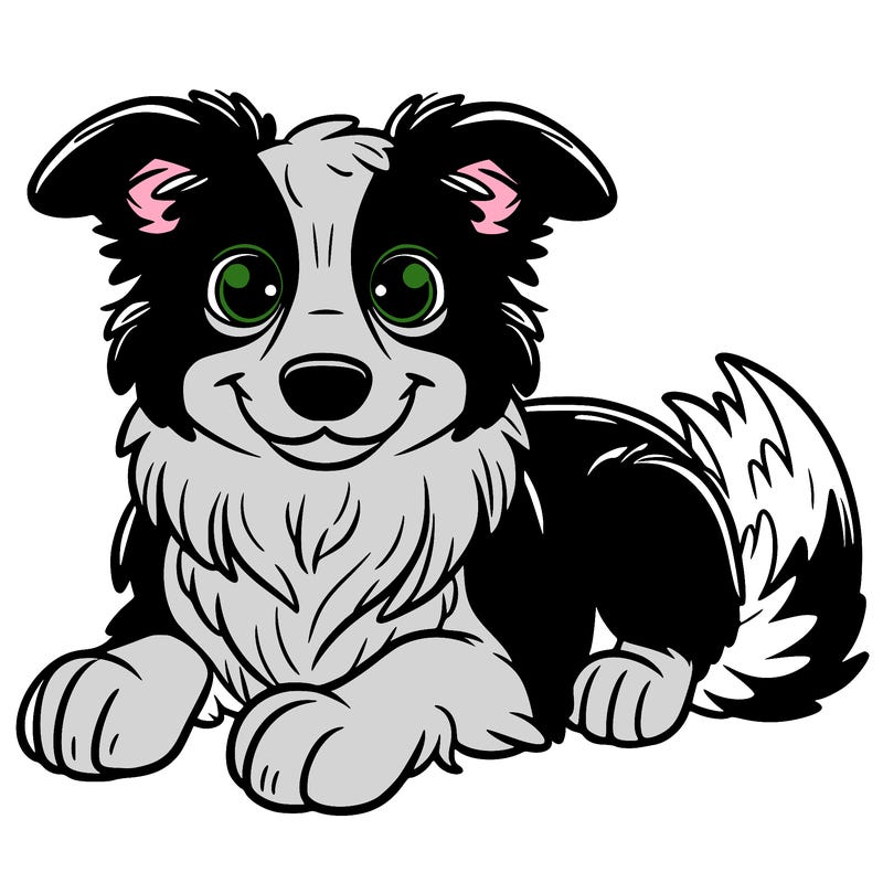 border collie