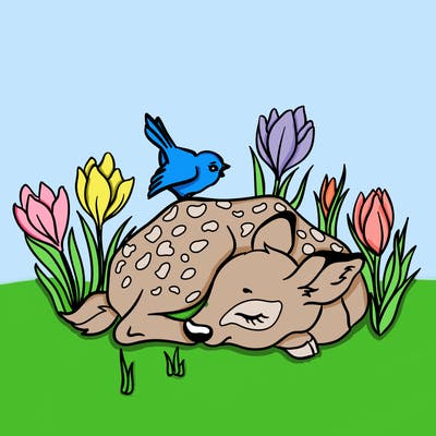 animals_61