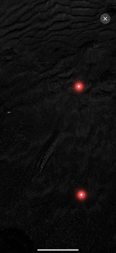 Cat Games for Cats - Screen showing two glowing red laser dots on a dark textured background for a cat to chase