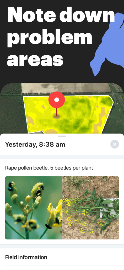 OneSoil Scouting: Farming Tool - Una captura de pantalla de la interfaz de la aplicación OneSoil que muestra notas de exploración de campos con fotos de plagas y un marcador de ubicación en el mapa