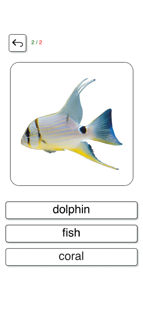 複数の選択肢の単語オプションが表示された魚の語彙クイズ画面。英語学習アプリ。