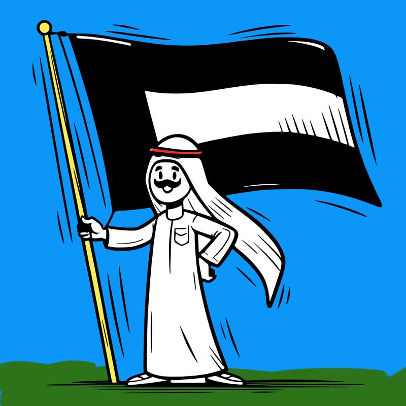 uae flag