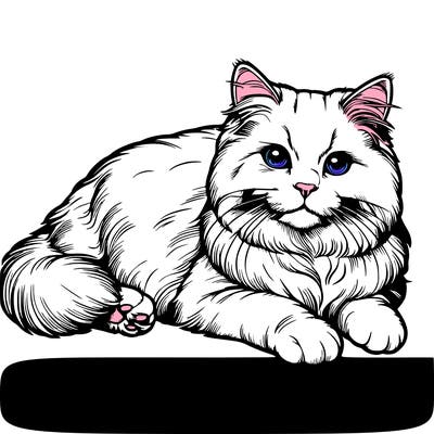 realistic drawing cats