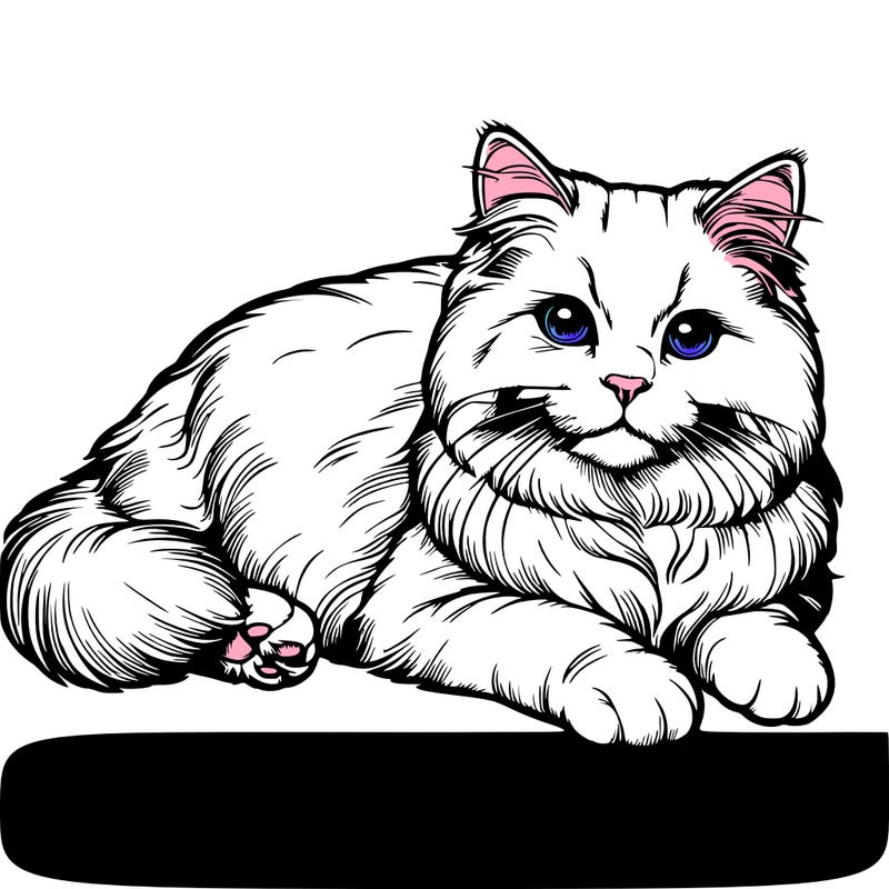 realistic drawing cats