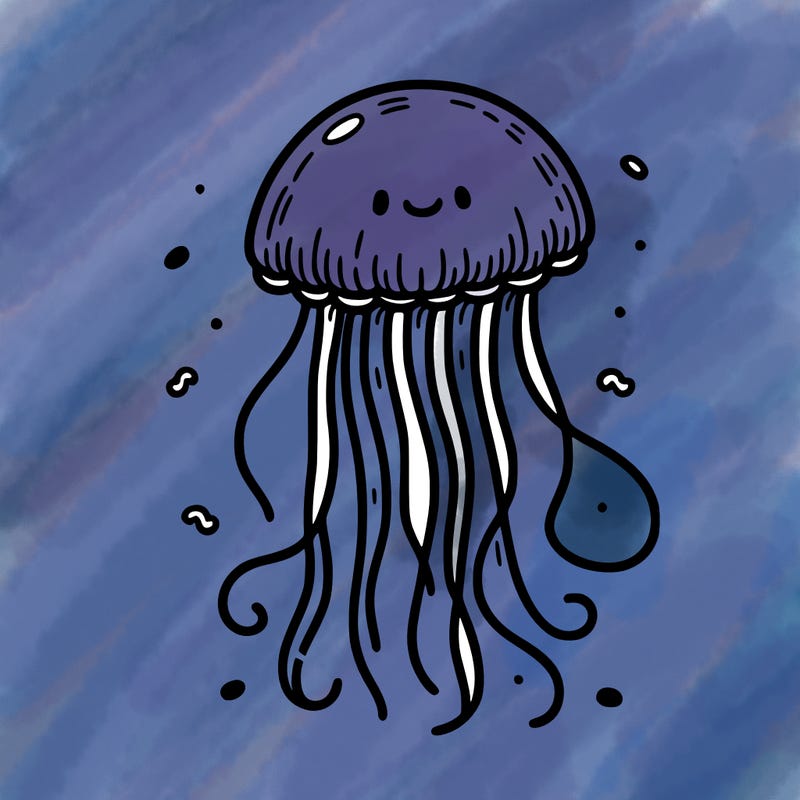 jellyfish