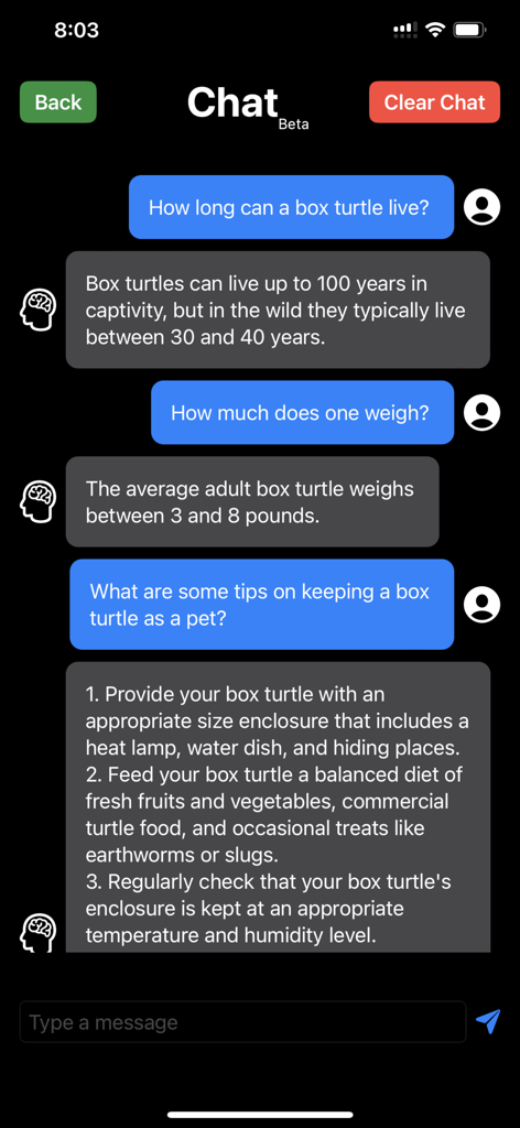 A mobile chat interface from the Write For Me AI Essay Writer app showing a user asking questions about box turtles and receiving detailed AI responses.