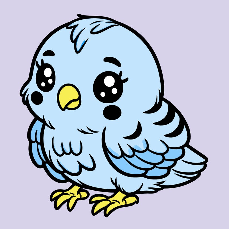 adorable little baby budgie