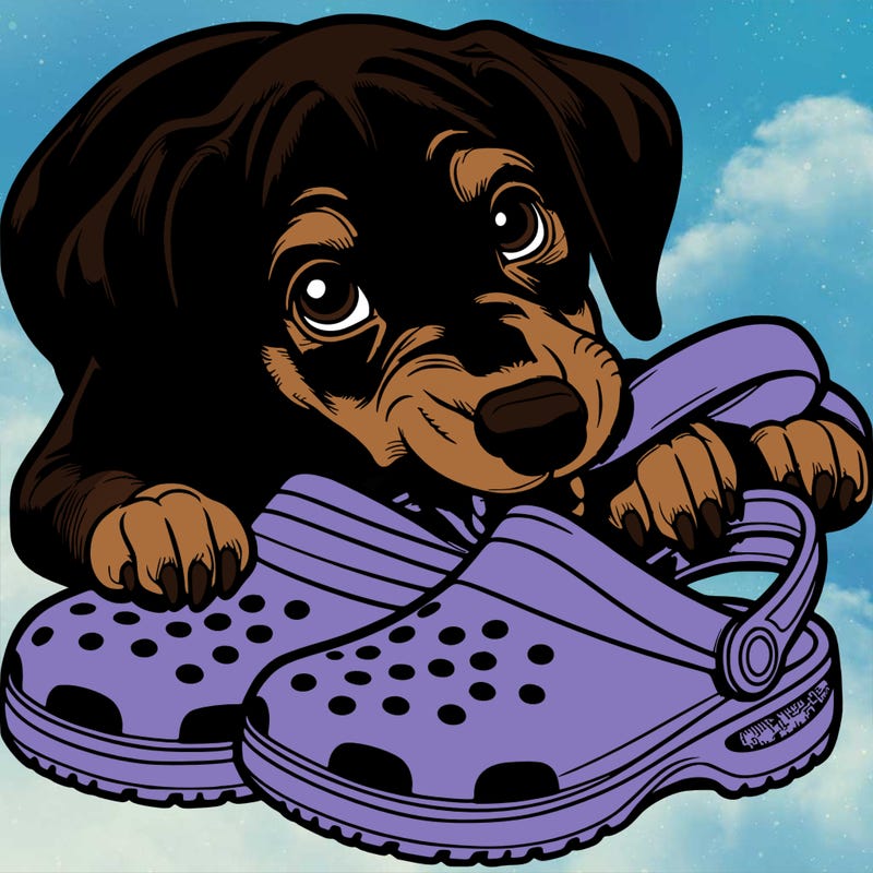 a realistic doberman puppy chewing on crocs