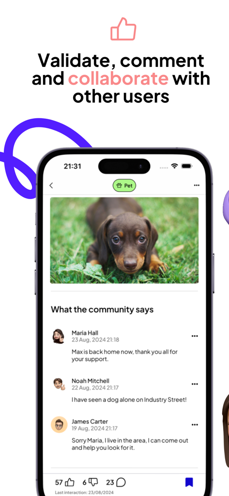 Hoople - A Hoople app screenshot showing a community discussion and collaboration on a lost pet report