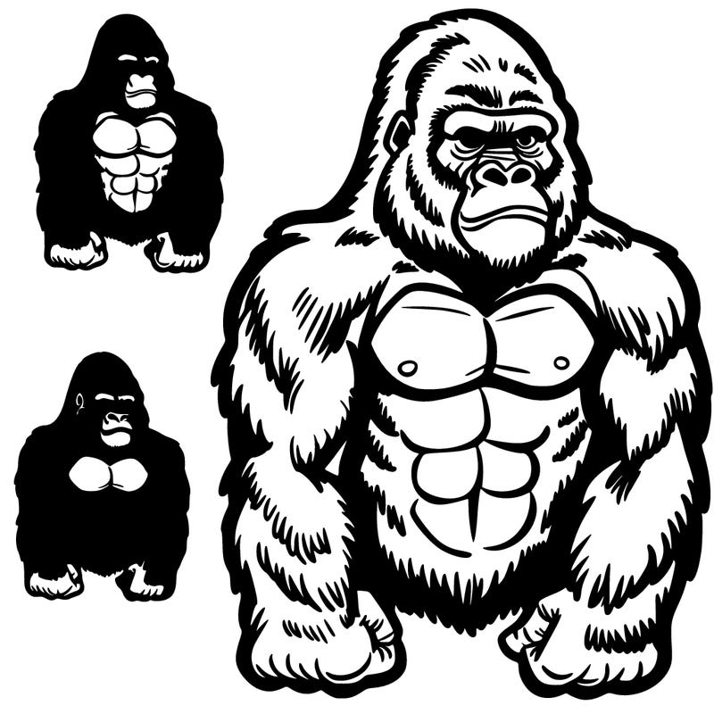 gorilla
