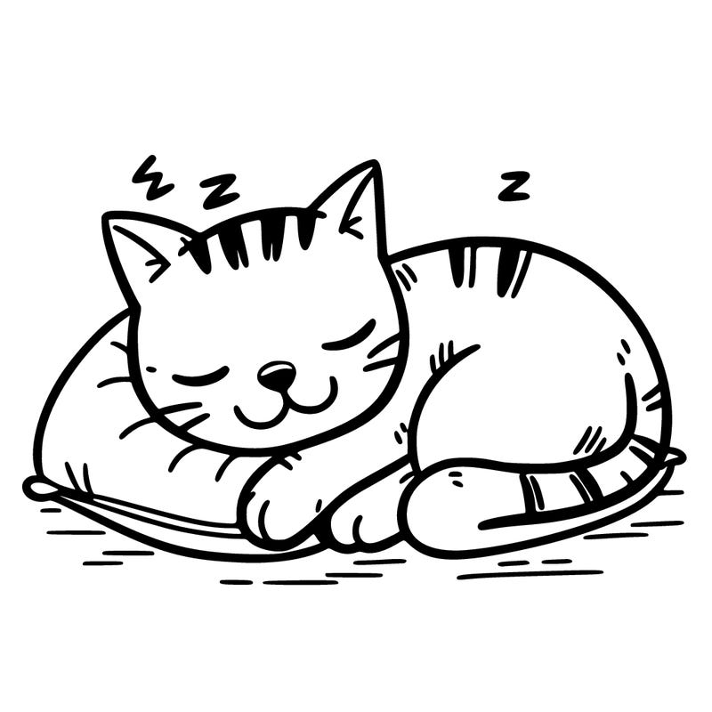 cat sleeping