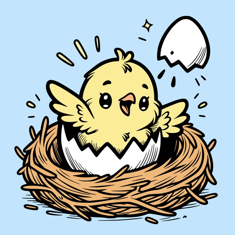 a baby chick hatching from an egg in a nest