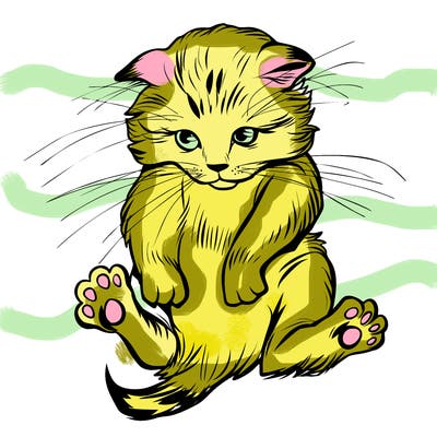 animals_20