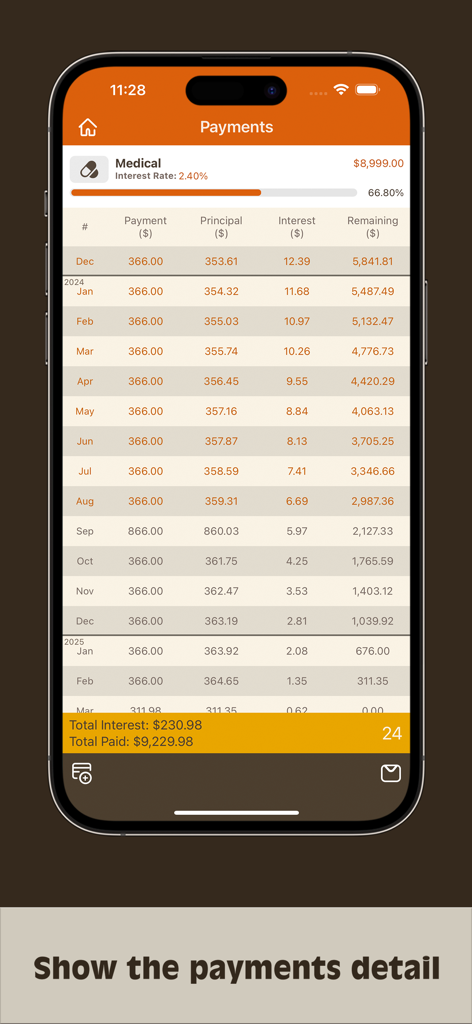 Debts Monitor - Detailed payment schedule showing principal interest and remaining balance for a medical debt