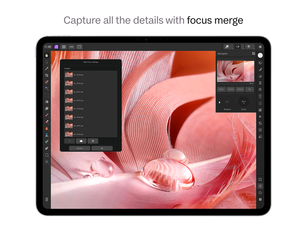 Interfaz de usuario de Affinity Photo 2 para iPad mostrando la herramienta de fusión de enfoque en una foto macro de una pluma