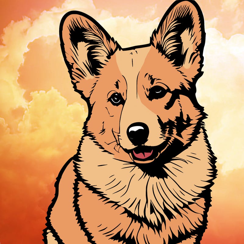 corgi