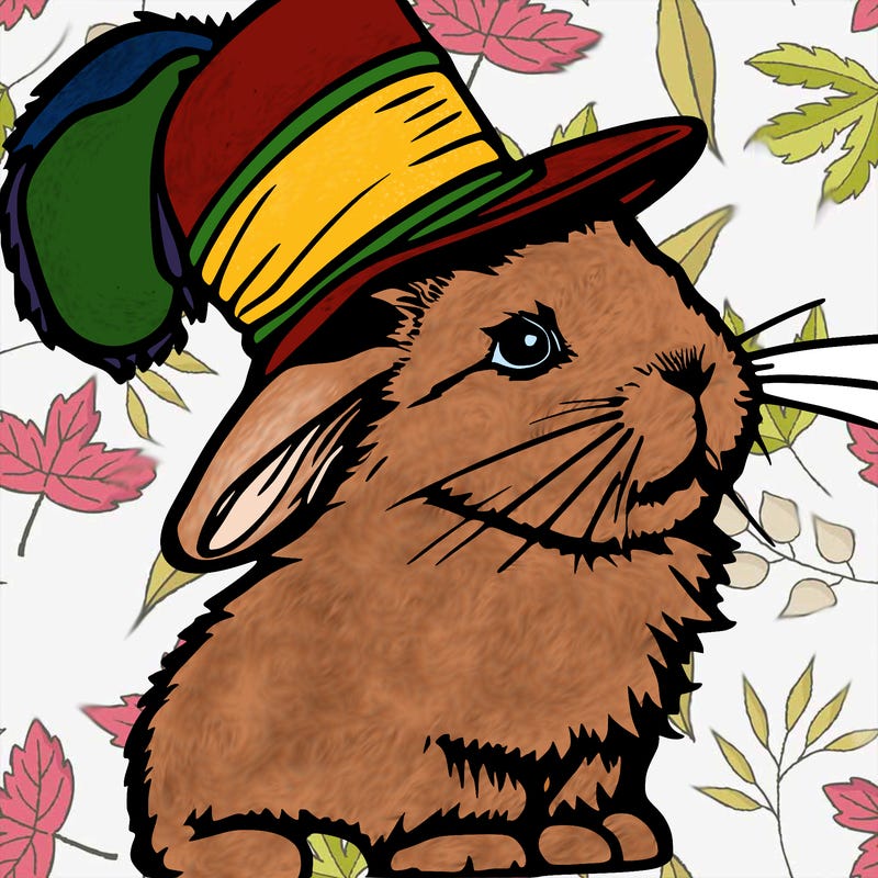 rabbit with hat