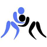 FlowRoll - BJJ Training Pal - App Icon