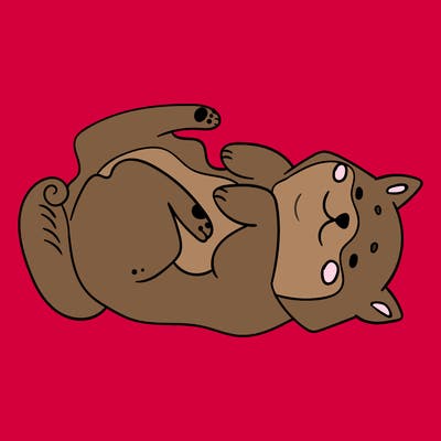 animals_30