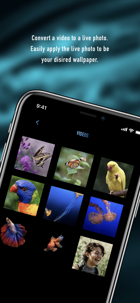 Interface showing a video gallery for converting clips into live photo wallpapers