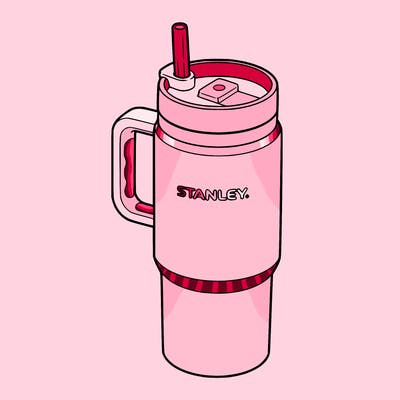 stanley water bottle