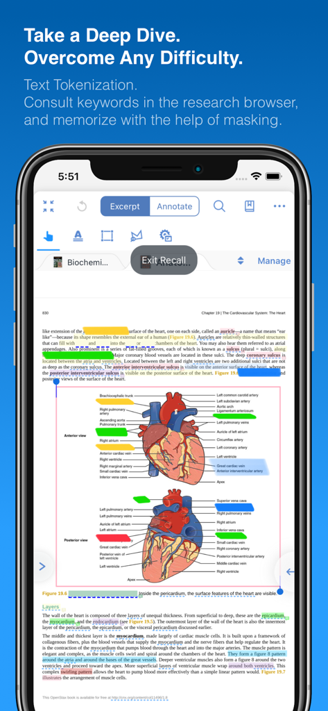 MarginNote 3 recall mode with masked labels on a heart anatomy diagram.