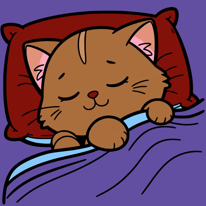 sleepy%20cat