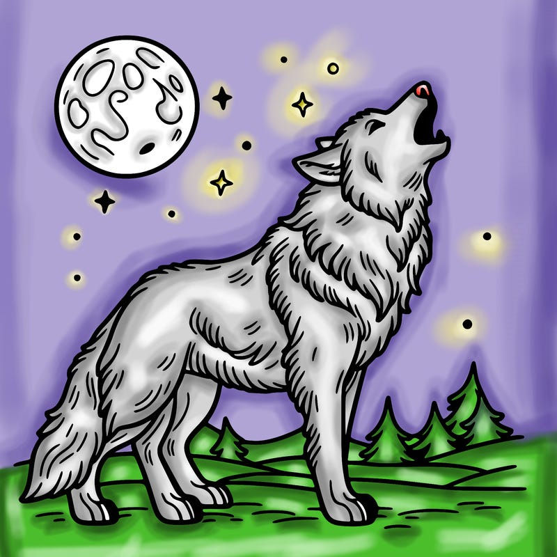 wolf howling into the night