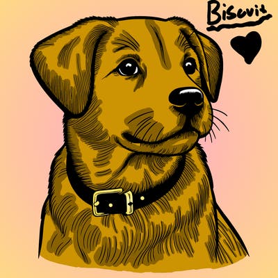 dog realistic