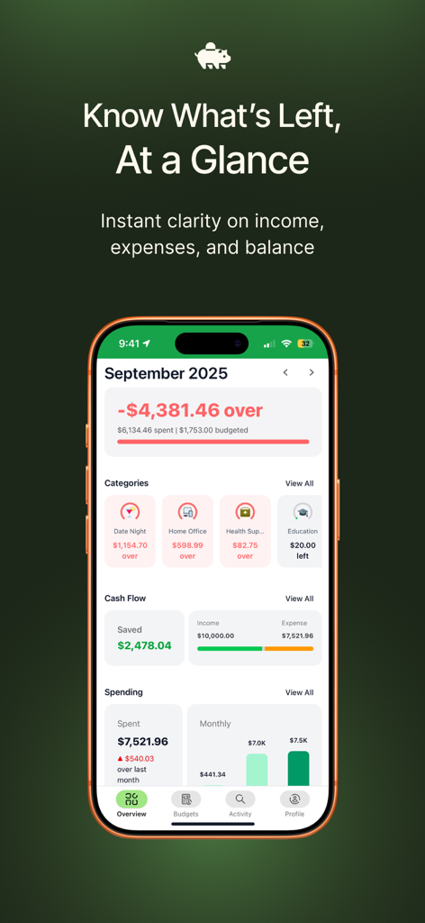 Screenshot of the DollarWise app showing a monthly budget overview including income, expenses, and spending categories.