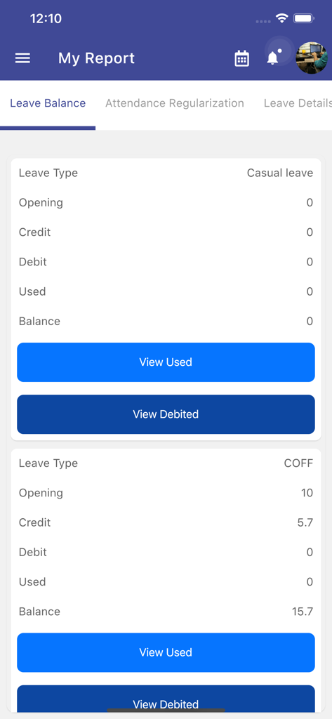 Pocket HRMS mobile app screen showing employee leave balance details for casual leave and compensatory off