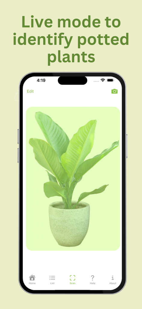 PlantID: Plant Identification - PlantID app screen showing live mode identification of a green potted plant